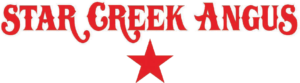 starcreekangus_logo_feb2023-300×83 Star Creek Angus