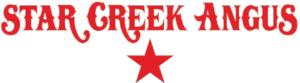 starcreekangus_logo_feb2023